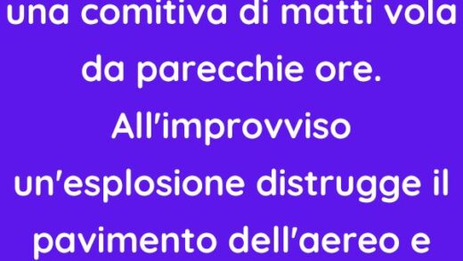 Un aereo che trasporta una comitiva