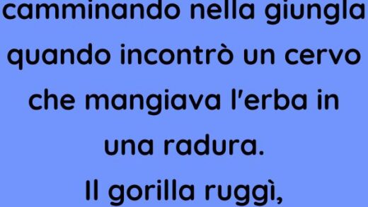 Un gorilla stava camminando nella giungla