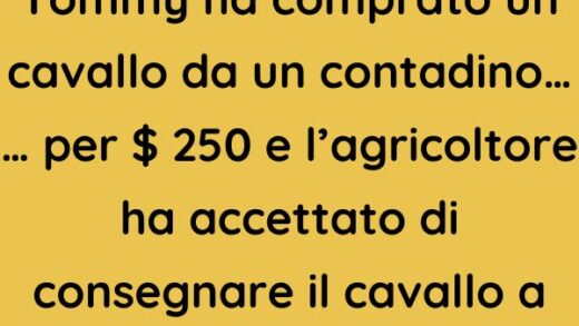 Ha comprato un cavallo da un contadino