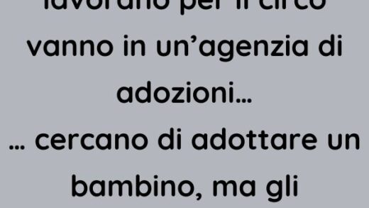 Marito e moglie che lavorano per il circo vanno in un’agenzia di adozioni