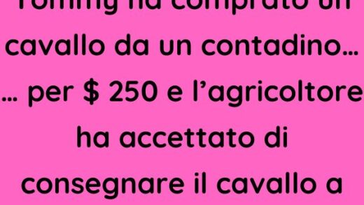 Un ragazzo di nome Tommy ha comprato un cavallo da un contadino