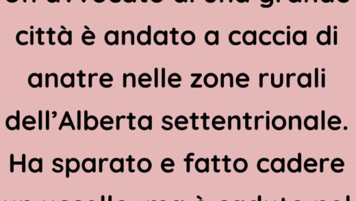 Un avvocato di una grande città è andato a caccia di anatre